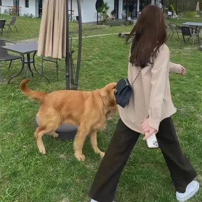 蒙面达虎